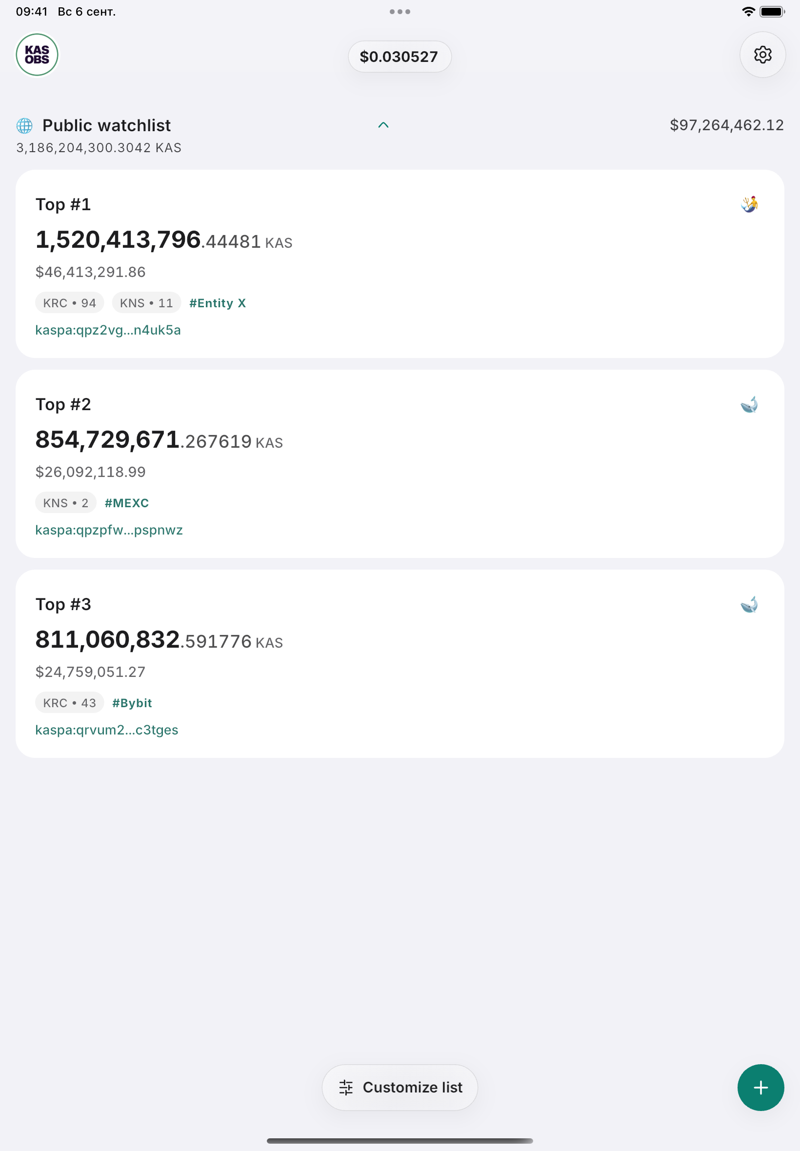 Kaspa Observer public watchlist on iPad